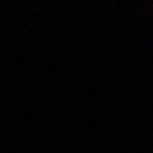 Meet your Posher, Abigail